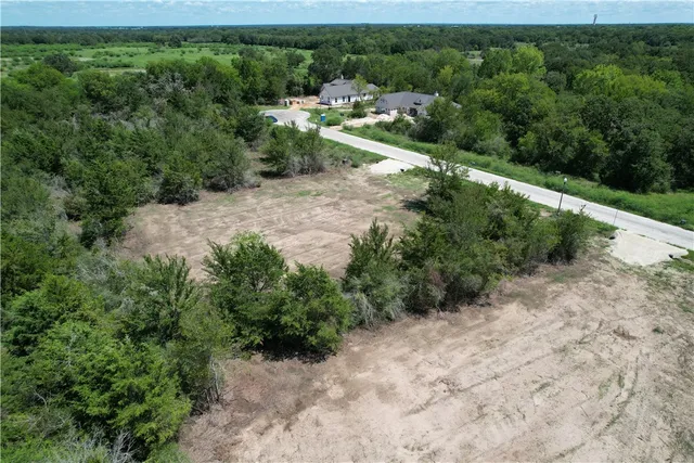 a view of a forest with a street