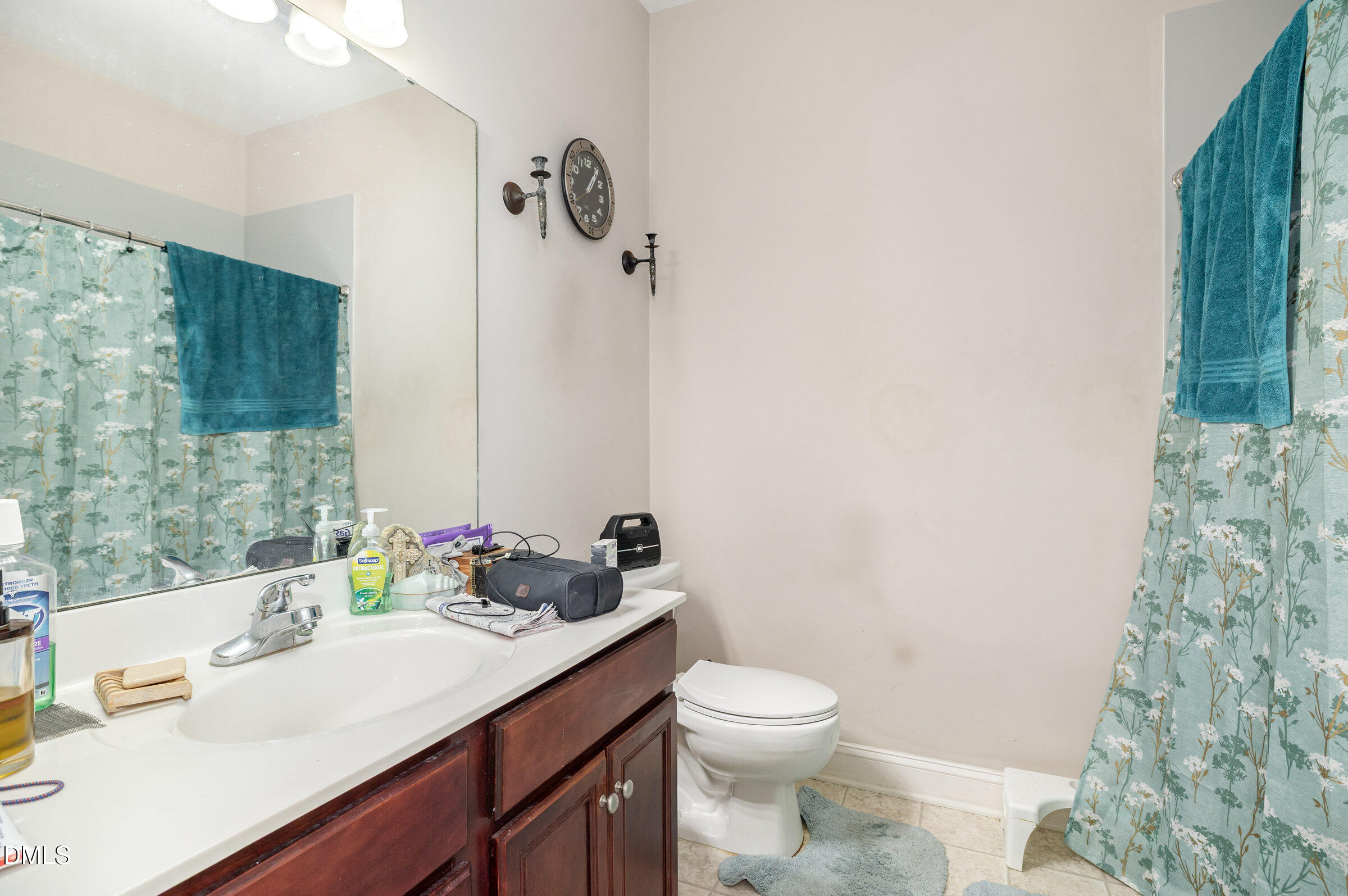 7300 Singlepond Lane Willow Spring, NC 27592 - Photo 14 of 34 a bathroom with a sink a toilet and shower curtain
