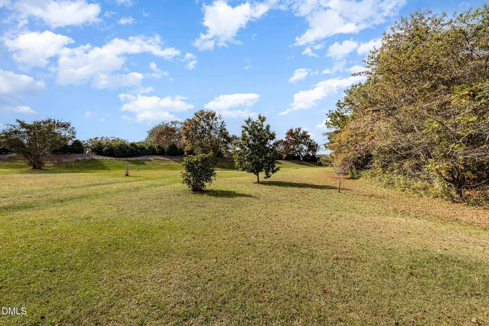 7300 Singlepond Lane Willow Spring, NC 27592 - Photo 27 of 34 a view of a lake with a yard