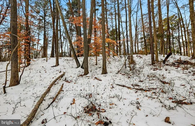a view of snow on the ground