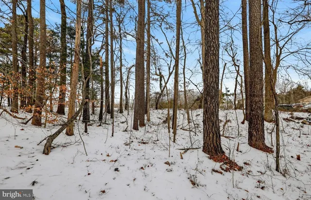 a view of snow on the beach