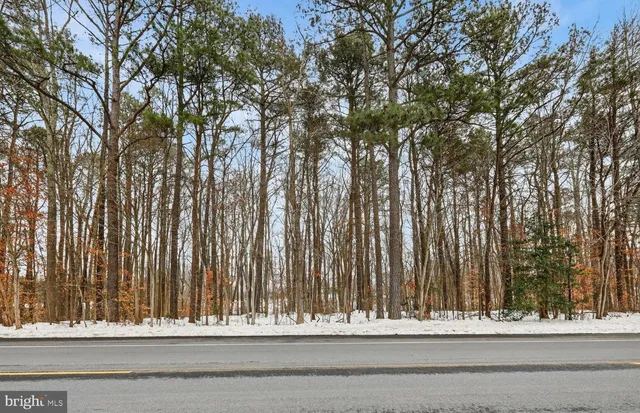 a view of a road from a house