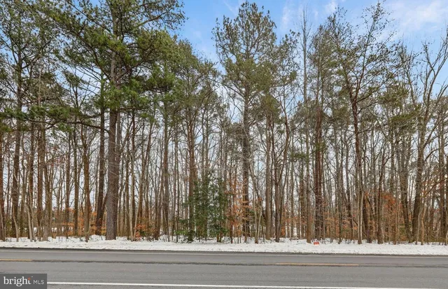 a view of a building with a trees in the background