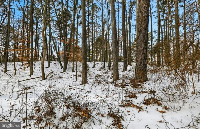 a view of a yard covered in snow