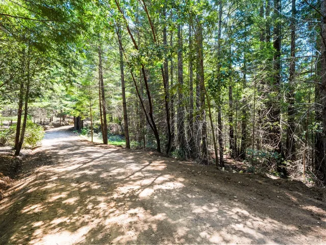 a view of outdoor space with trees