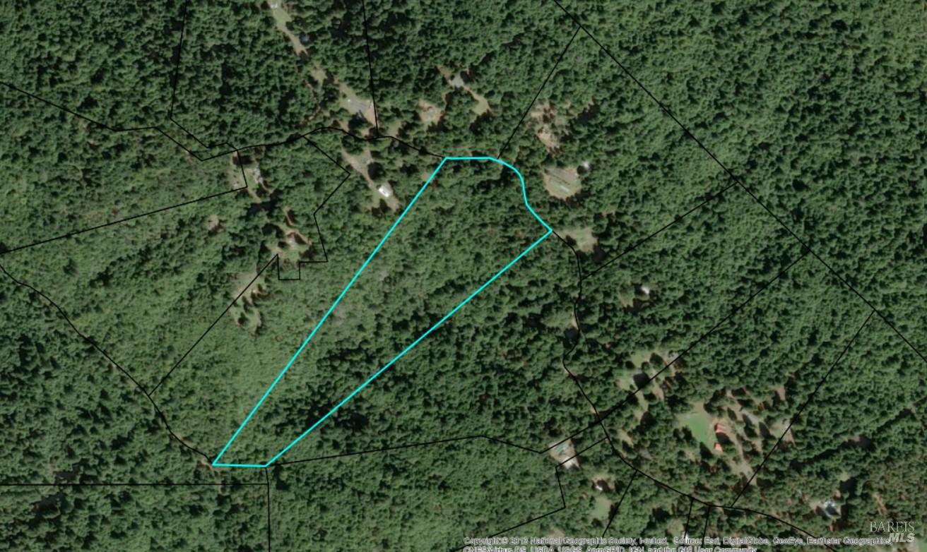 0 Panorama Way Philo, CA 95466 - Photo 4 of 5 a view of a lush green forest with a tree