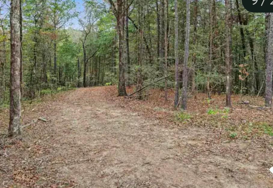 Lot 1-3 Toadvine Road Bessemer, AL 35023 - Photo 1 of 1 land