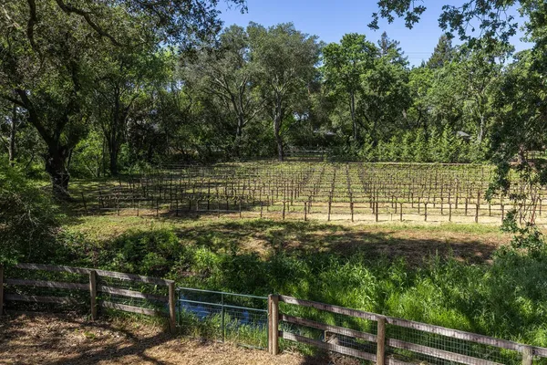 $2,350,000 | 3000 Silverado Trail, Napa, CA 94558