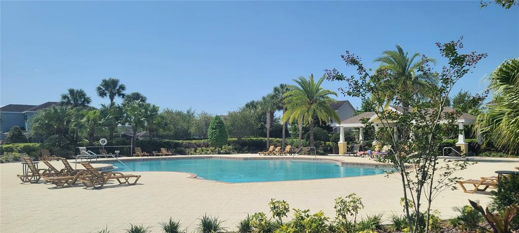 11112 Great Neck Road Riverview, FL 33578 - Photo 42 of 55 Resort Style Pool
