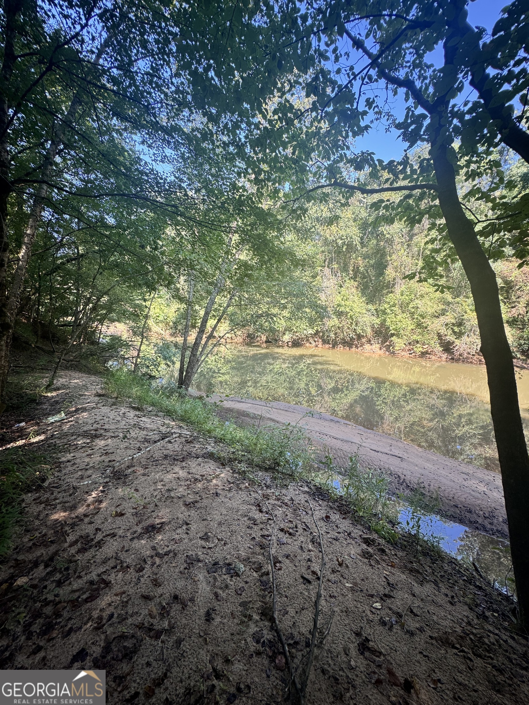 3487 North Ga Highway Forsyth, GA 31029 - Photo 3 of 9 a view of a yard with a tree