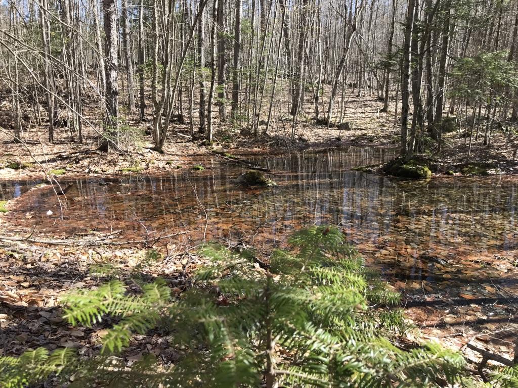 128 Starbird Corner Road Bowdoin, ME 04287 - Photo 22 of 30 UNADJUSTEDNONRAW_thumb_42b6