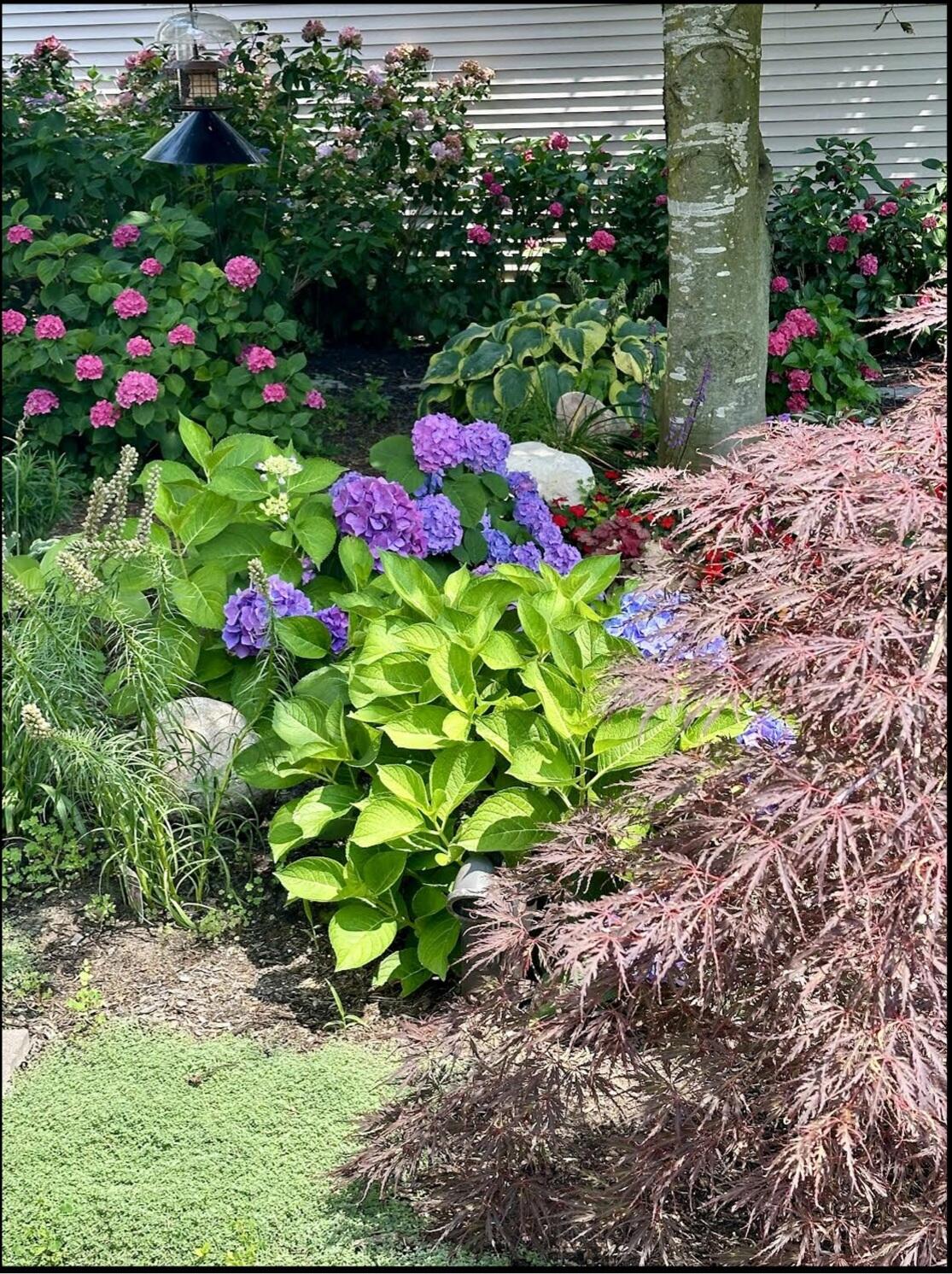 17711 Cobblefield Lane Spring Lake, MI 49456 - Photo 39 of 52 Screenshot_20260227_135923_Adobe Acrobat