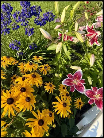 $655,900 | 17711 Cobblefield Lane, Spring Lake, MI 49456