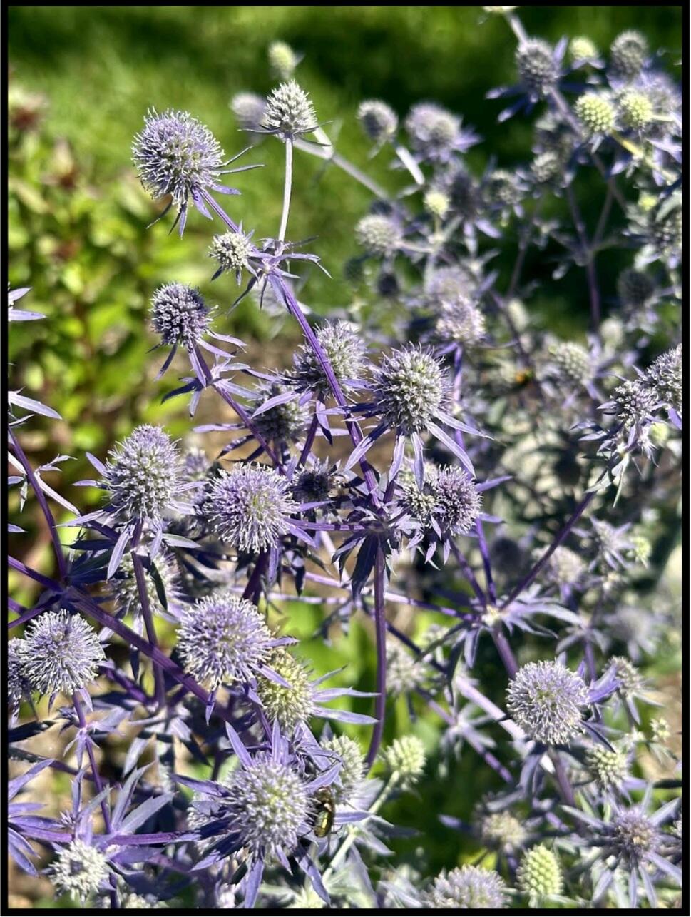 17711 Cobblefield Lane Spring Lake, MI 49456 - Photo 42 of 52 Screenshot_20260227_135902_Adobe Acrobat