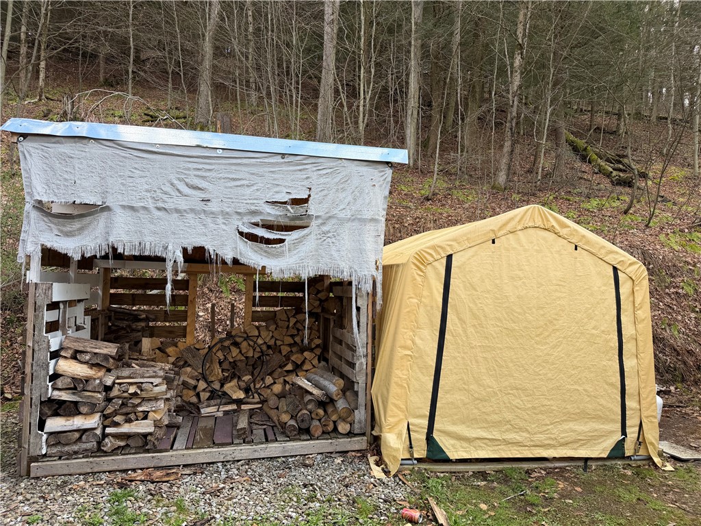 10856 Schwingle Road Prattsburgh, NY 14873 - Photo 14 of 45