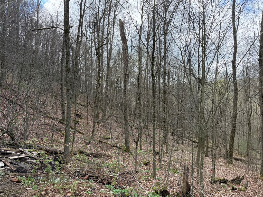 10856 Schwingle Road Prattsburgh, NY 14873 - Photo 36 of 45