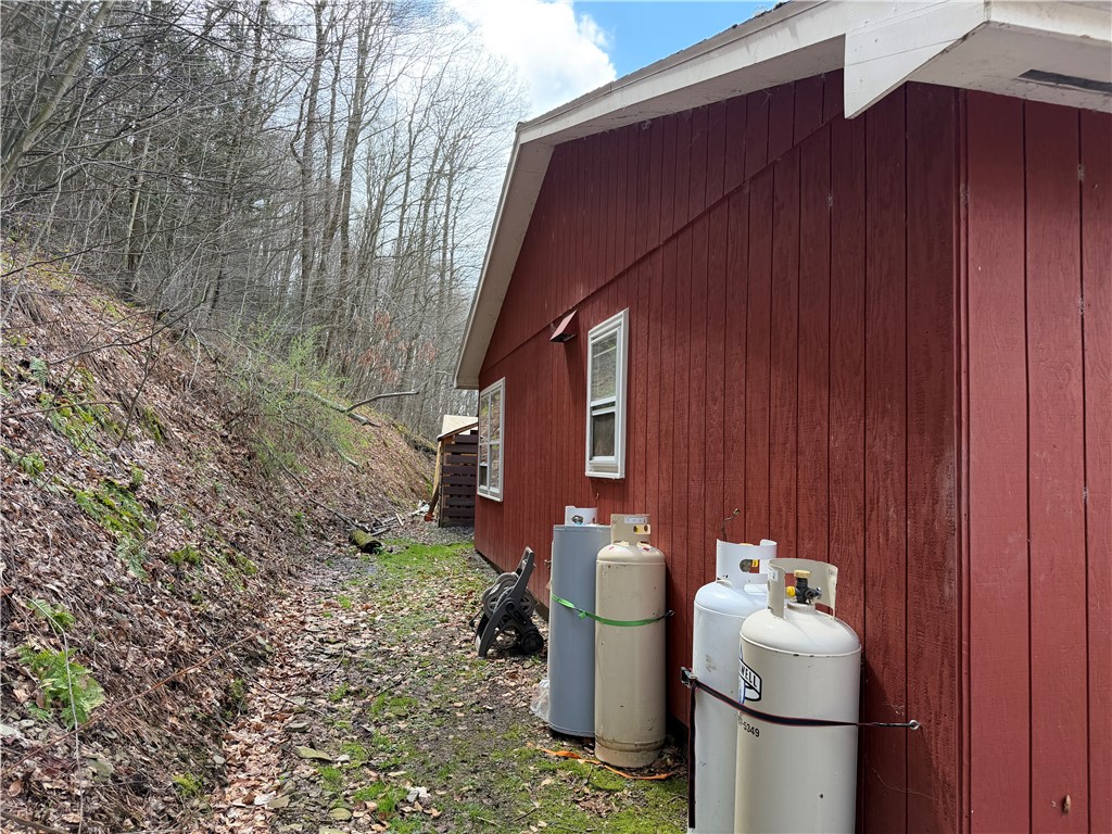 10856 Schwingle Road Prattsburgh, NY 14873 - Photo 4 of 45