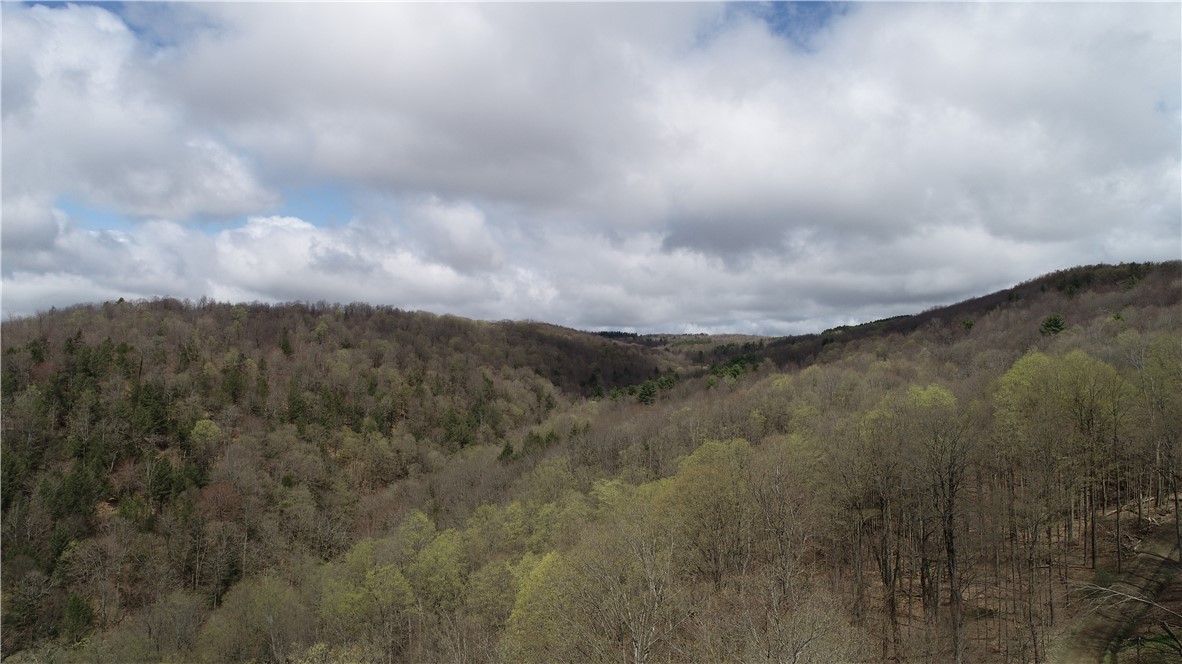 10856 Schwingle Road Prattsburgh, NY 14873 - Photo 42 of 45