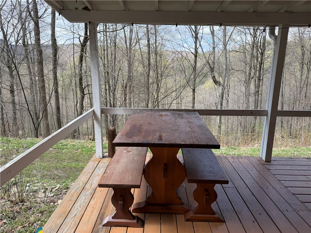 10856 Schwingle Road Prattsburgh, NY 14873 - Photo 6 of 45