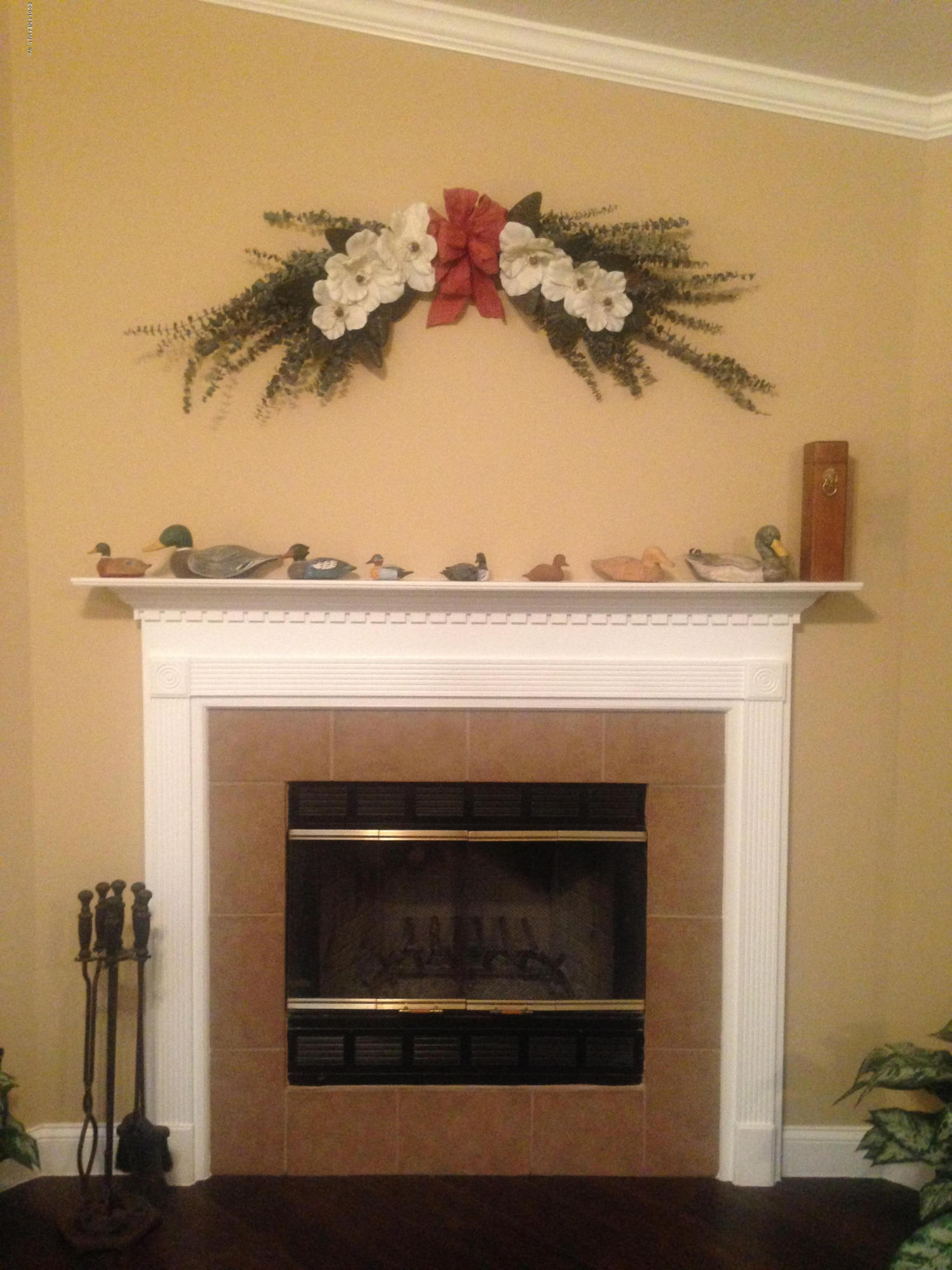 4325 Banks Road Middleburg, FL 32068 - Photo 19 of 61 Fireplace