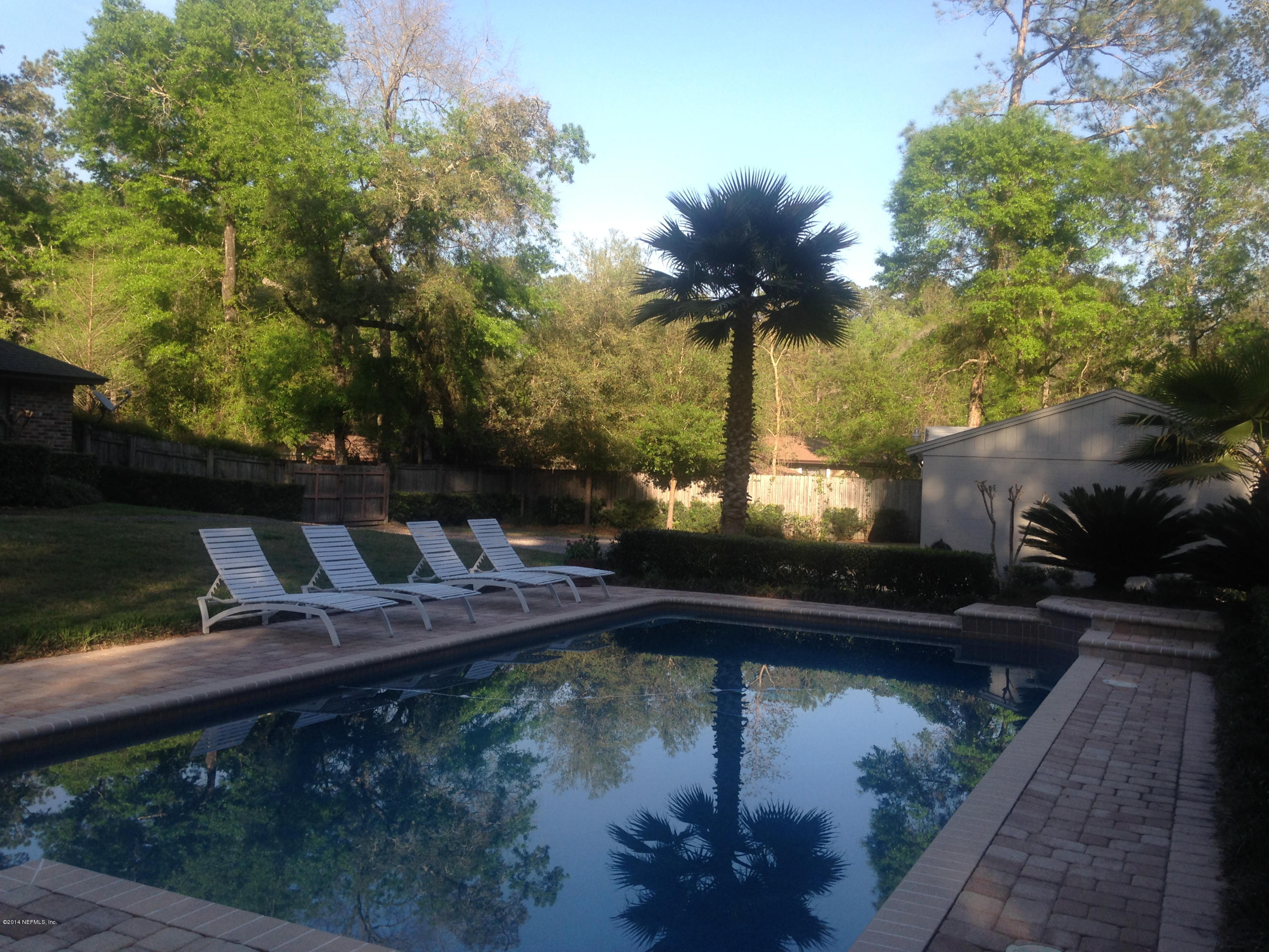 4325 Banks Road Middleburg, FL 32068 - Photo 44 of 61 Back Yard-Pool