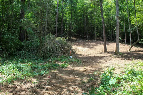 a view of a yard with plants and a trees