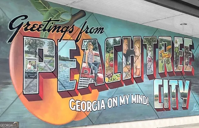 $639,000 | 308 Dalston Way, Peachtree City, GA 30269