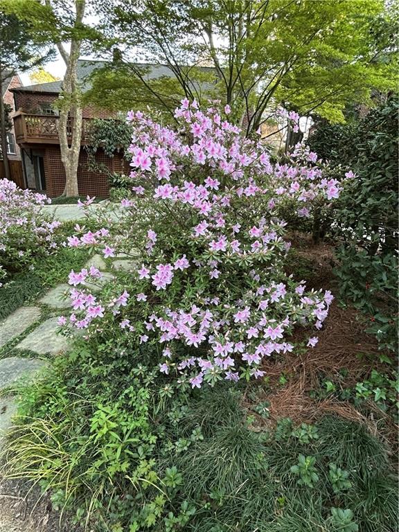 1686 Johnson Road Northeast Atlanta, GA 30306 - Photo 54 of 57