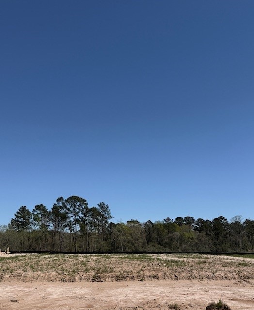 32110 Pond Pine Spring, TX 77386 - Photo 7 of 14 a view of a lake