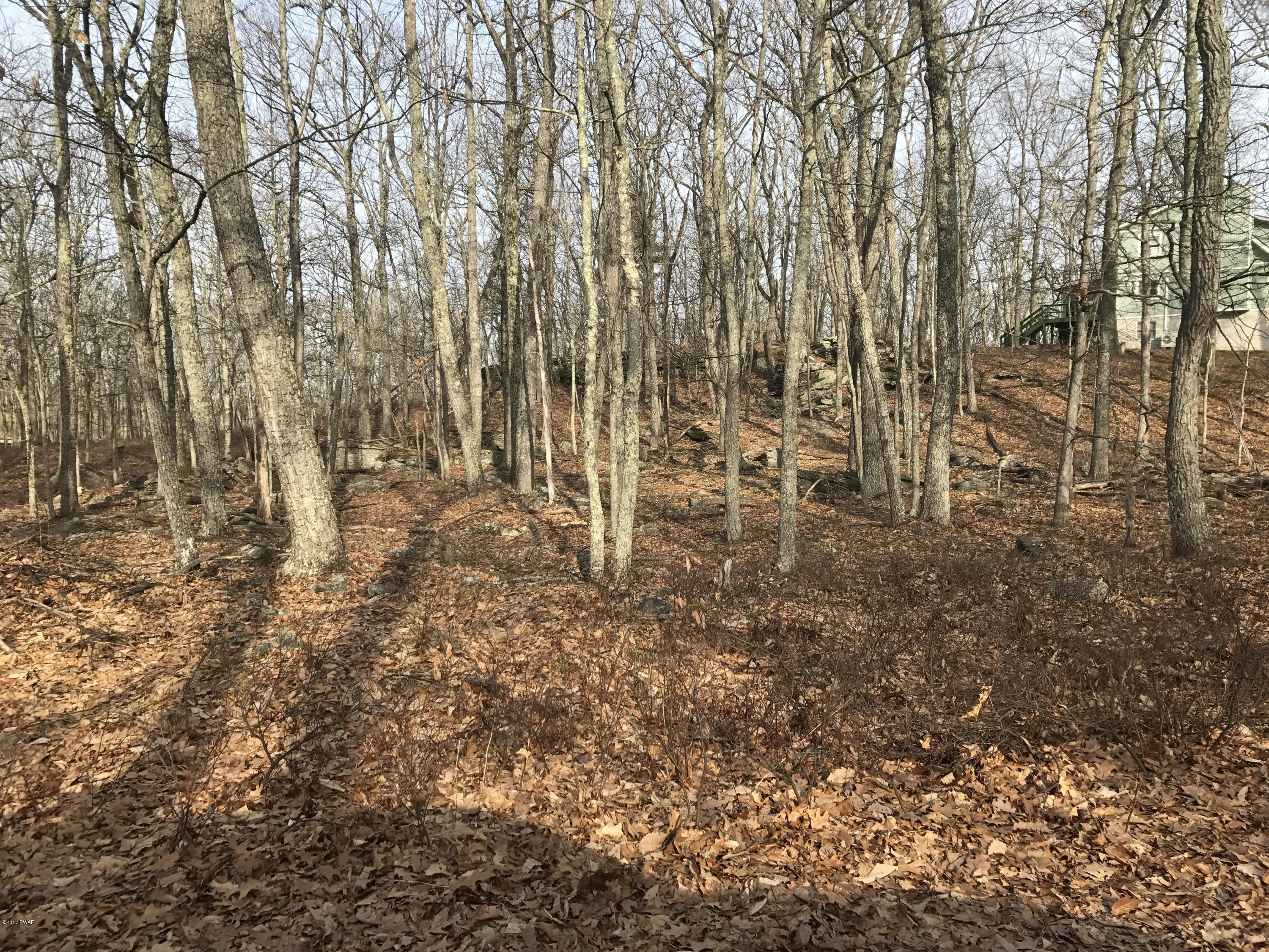 Lot 1153 Perch Road Lackawaxen, PA 18435 - Photo 2 of 4