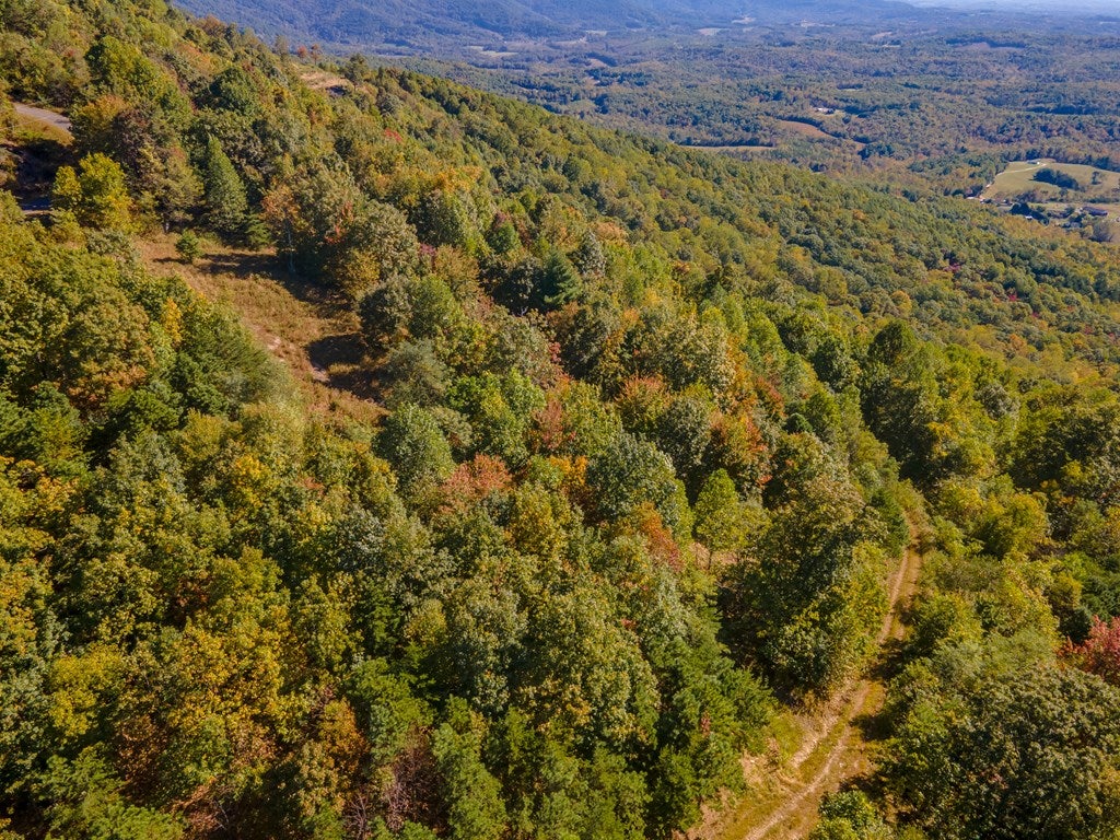 Lot 93 Reflections Point Trail, Unit 93 Fancy Gap, VA 24328 - Photo 11 of 92 Gallery Image 11