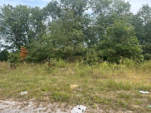 $25,000 | 1 Green Acres Street, Pembroke Township, IL 60958
