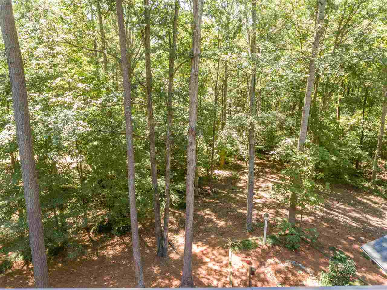 5000 Birchleaf Drive Raleigh, NC 27606 - Photo 24 of 25 Photo 24
