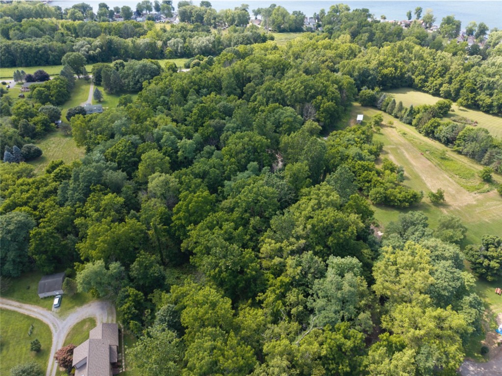 East Lake Road Conesus, NY 14435 - Photo 6 of 16