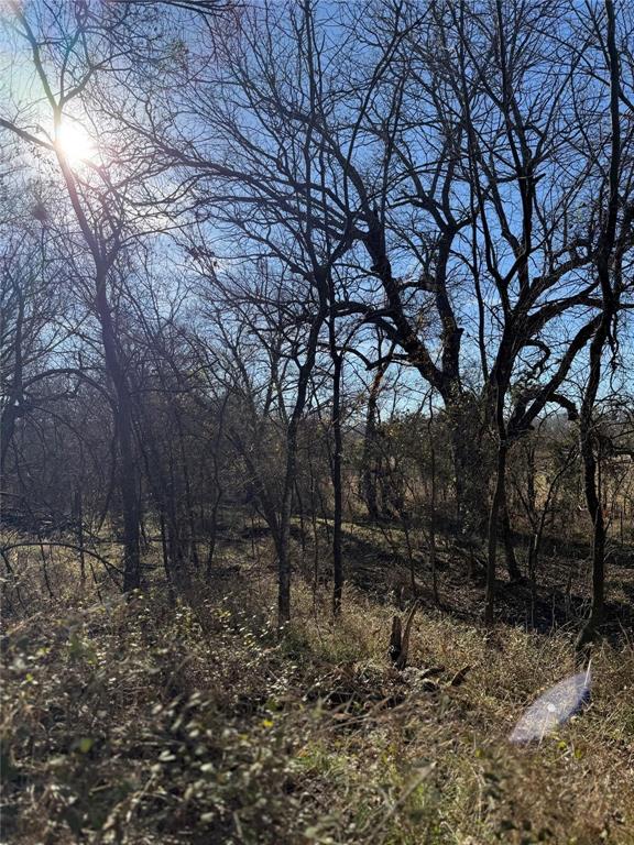 Lot 5-tbd Lot 5-tbd Hidden Valley Rd Valley View Valley View, TX 76272 - Photo 24 of 25 a view of backyard with green space