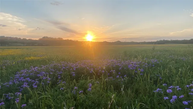 a view of an ocean and mountain