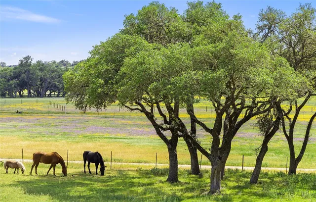 a view of yard with swimming pool and trees