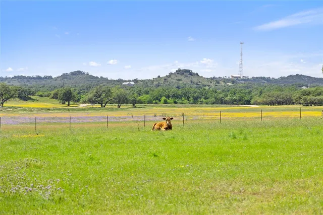 a view of a lake with a mountain