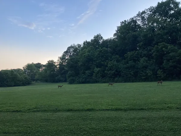 $2,890 | 507 Stinson Court, White House, TN 37188