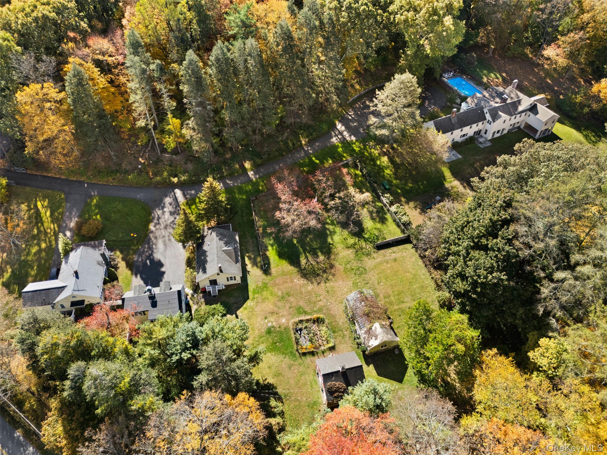 a view of a garden with plants