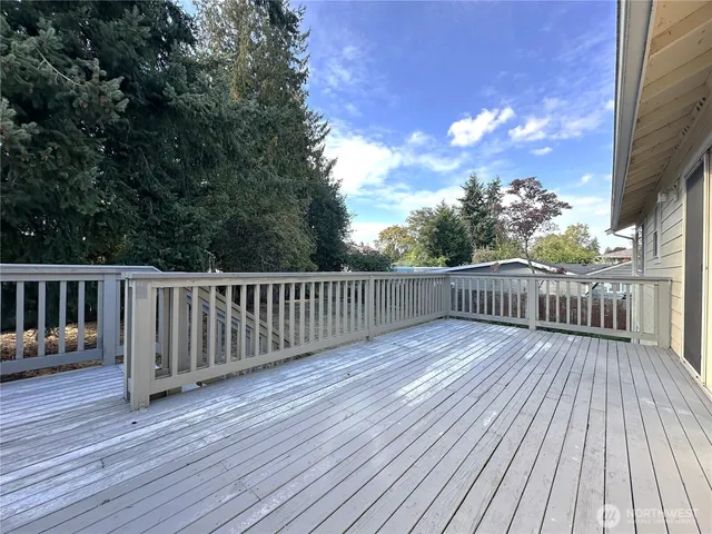 a view of a backyard with large trees