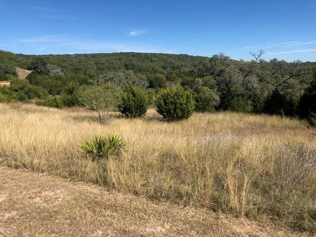 Lot 59 Eagles Ridge Burnet, TX 78611 - Photo 4 of 11 a view of a lake view