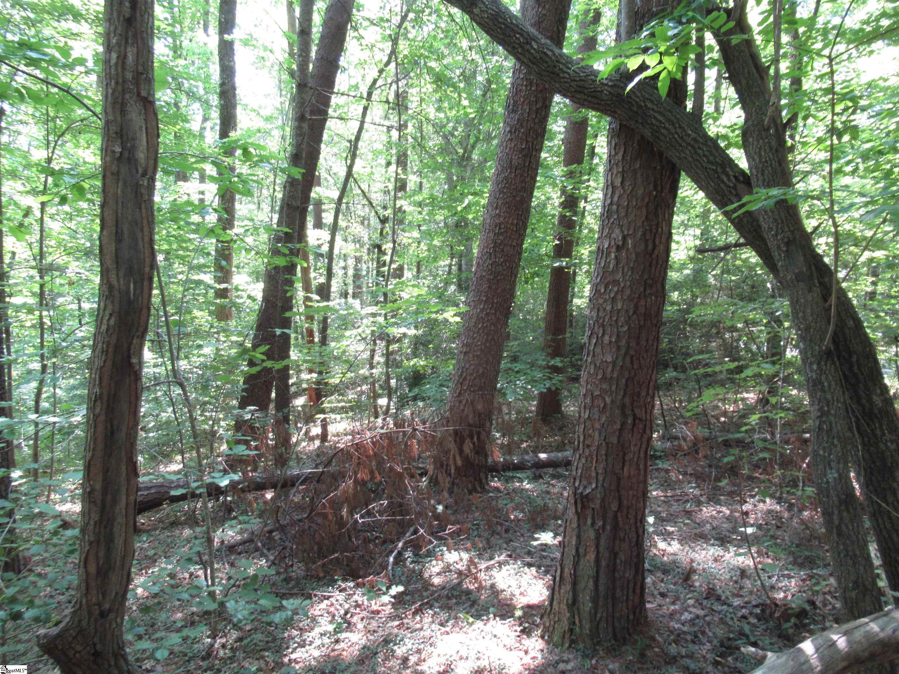 0 Gauley Falls Road, Unit LOT 13 GAULEY FALLS Pickens, SC 29671 - Photo 13 of 36