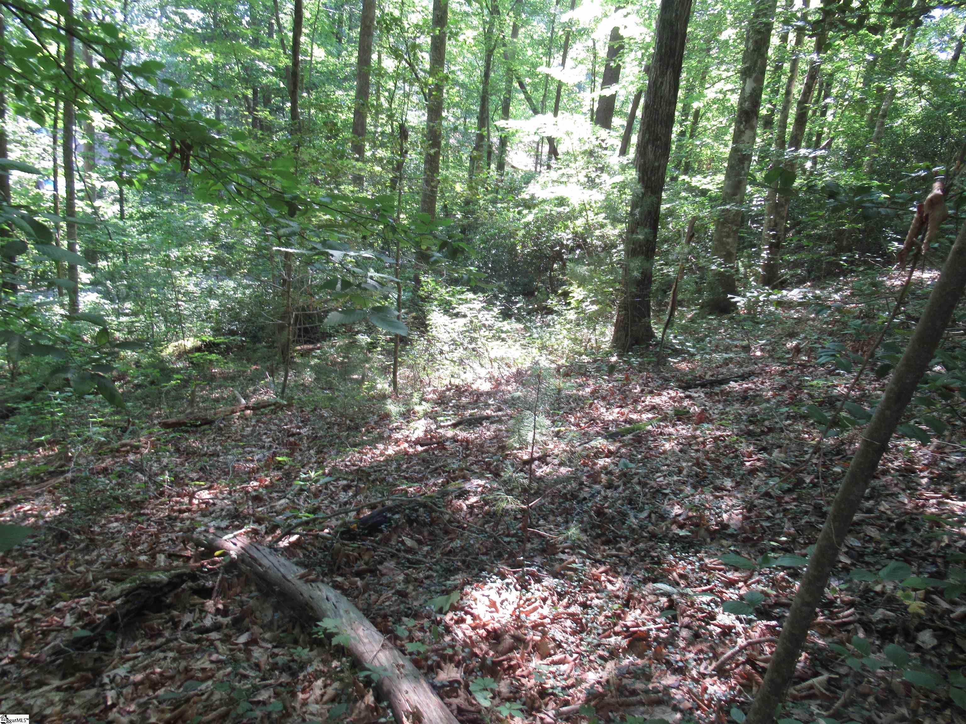 0 Gauley Falls Road, Unit LOT 13 GAULEY FALLS Pickens, SC 29671 - Photo 14 of 36