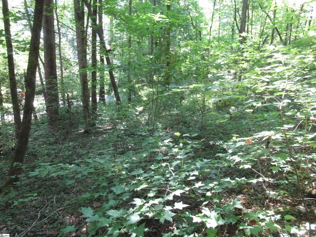 $25,000 | 0 Gauley Falls Road, Unit LOT 13 GAULEY FALLS, Pickens, SC 29671