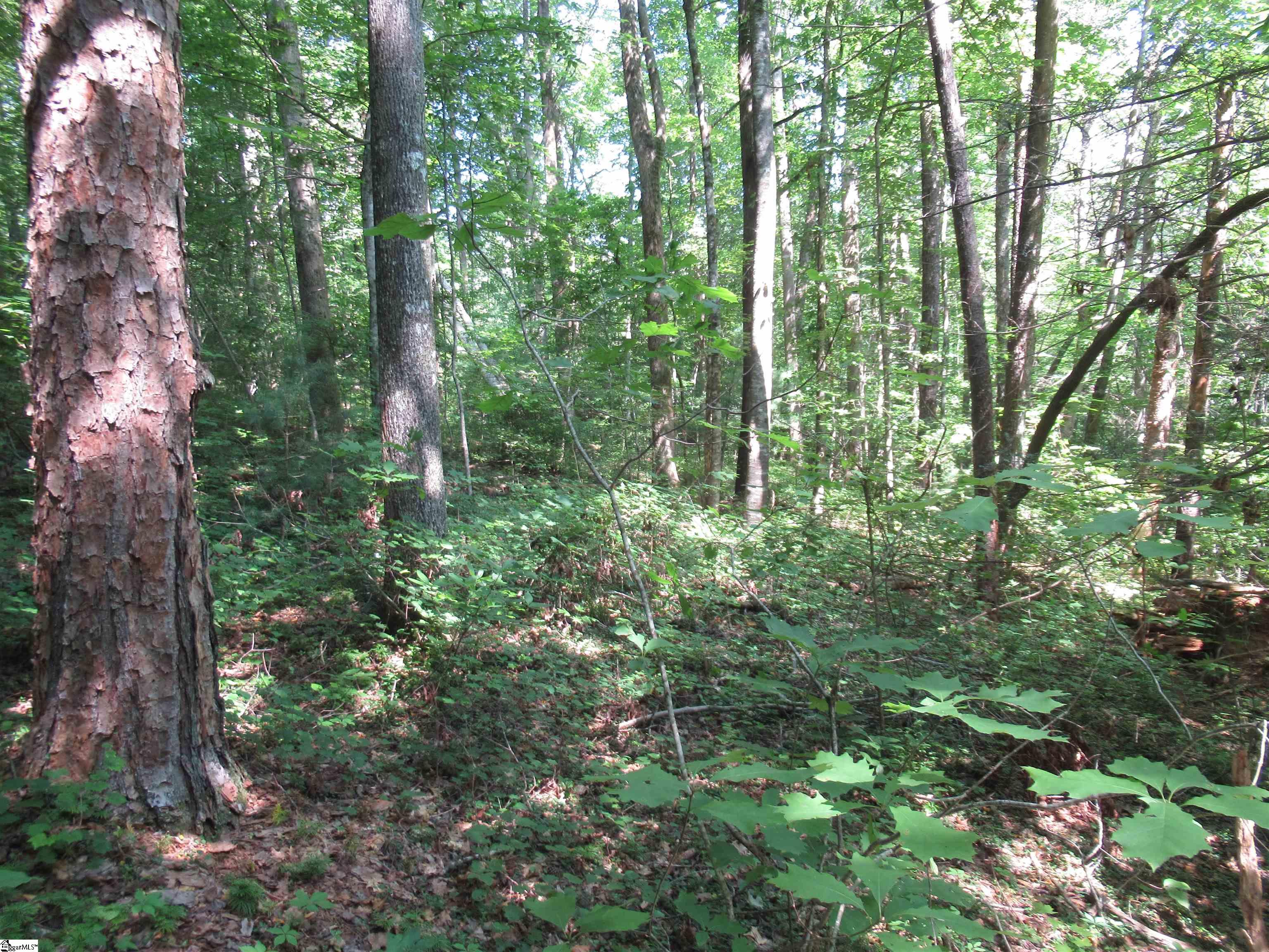 0 Gauley Falls Road, Unit LOT 13 GAULEY FALLS Pickens, SC 29671 - Photo 17 of 36