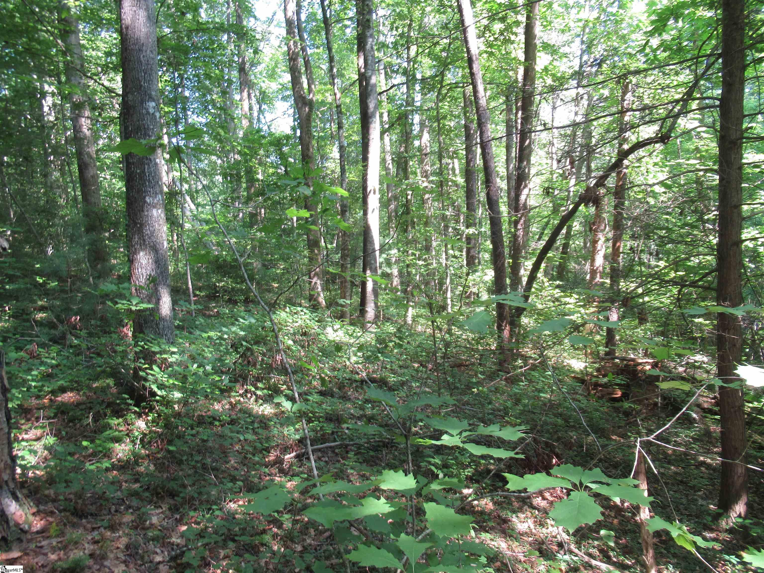 0 Gauley Falls Road, Unit LOT 13 GAULEY FALLS Pickens, SC 29671 - Photo 18 of 36