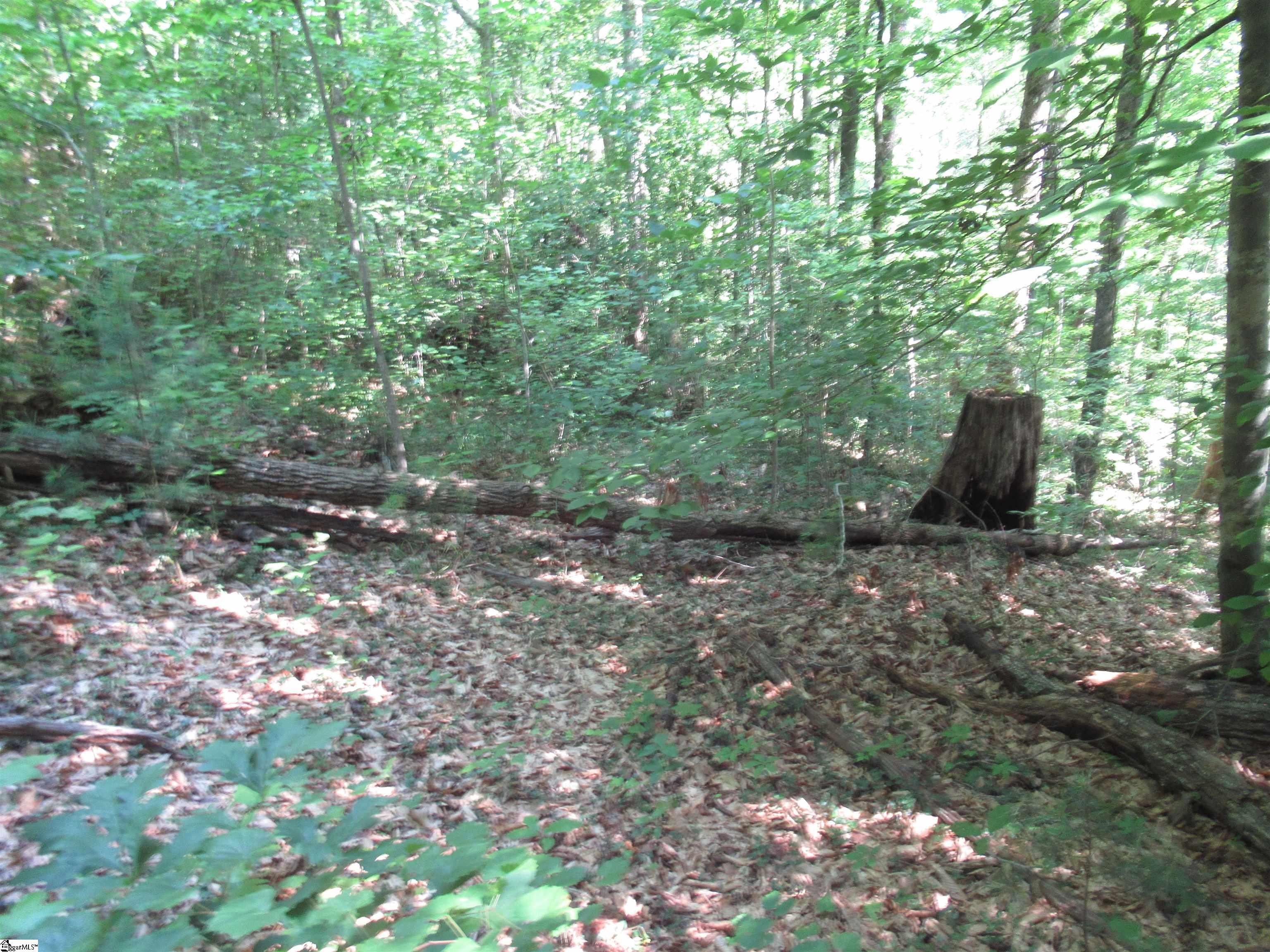 0 Gauley Falls Road, Unit LOT 13 GAULEY FALLS Pickens, SC 29671 - Photo 2 of 36