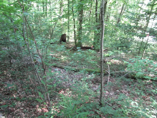 $25,000 | 0 Gauley Falls Road, Unit LOT 13 GAULEY FALLS, Pickens, SC 29671