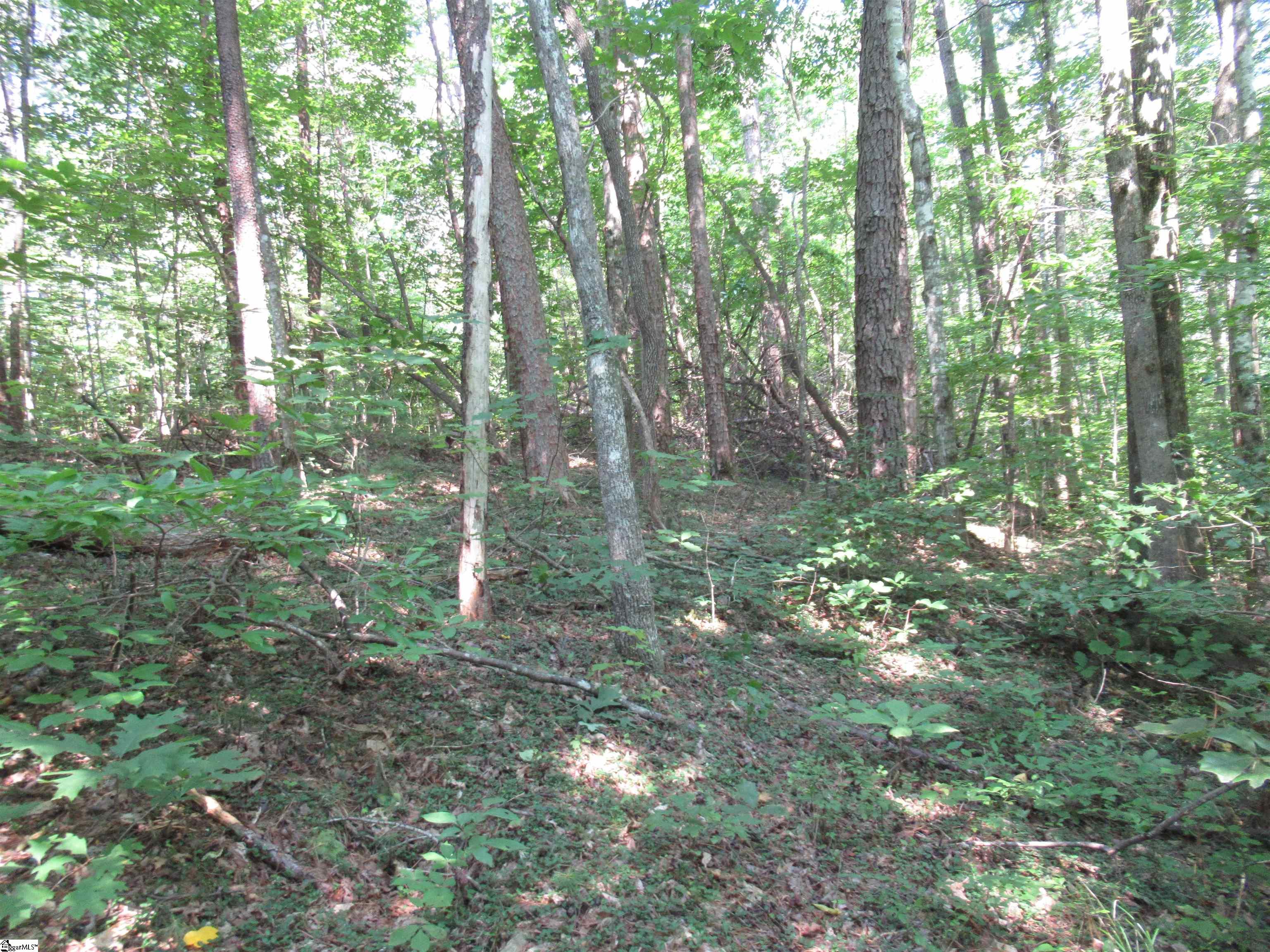 0 Gauley Falls Road, Unit LOT 13 GAULEY FALLS Pickens, SC 29671 - Photo 5 of 36